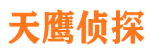 八公山市侦探